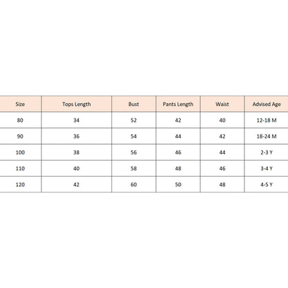 Kids Clothes Girls Summer Outfits Children Clothing Short Sleeve Round Neck Tops + Flowers Printed Suspender Short Pants Set