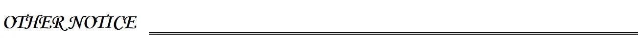 SSYTENS High Collar Muslim Evening Dresses Ruched Dubai Long Sleeves Prom Dresses Pleats Modest Arabia Party Gowns Customized